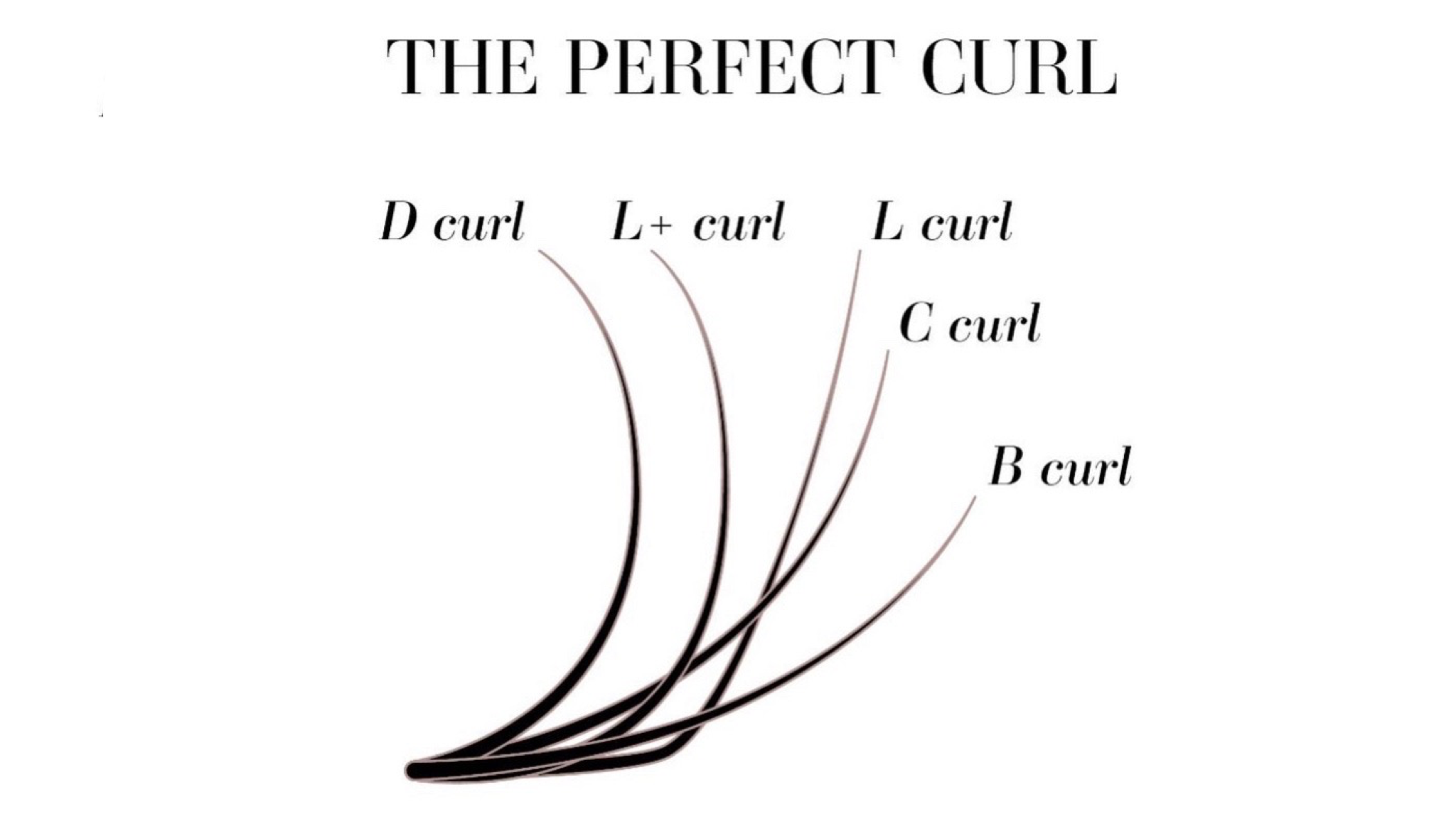 Eyelash Extension Curls